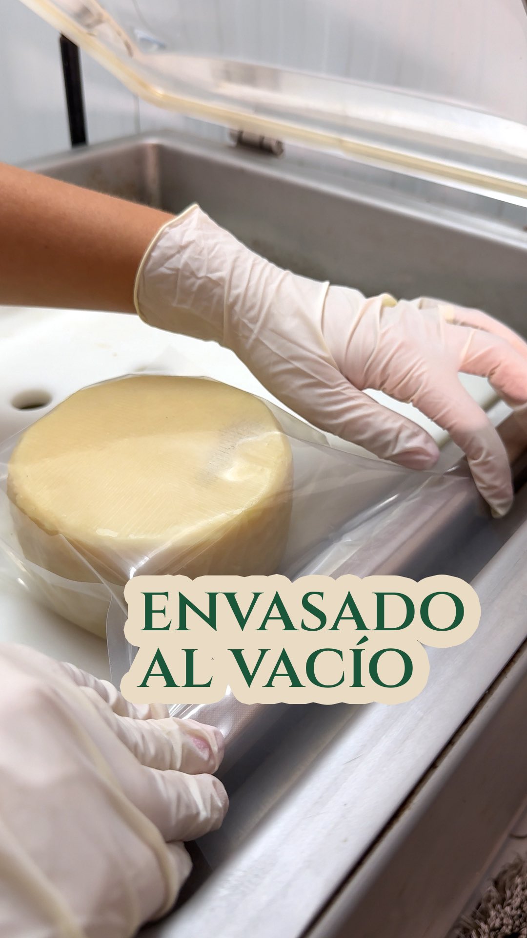 👉 ¿Cómo logramos que un #Queso sin conservantes dure semanas? 🧀 😋 La respuesta es sencilla: artesanía y ciencia trabajando juntas.
Nuestro queso no necesita conservantes, porque lo cuidamos desde el origen:
• 🧀 Elaboración artesanal con leche de oveja.
• 🔒 Envasado al vacío que protege el sabor y bloquea bacterias.
• ❄️ Conservación en frío que mantiene la frescura natural.
Así, lo que llega a tu mesa es puro queso, sin añadidos, con la garantía de que se mantendrá perfecto semanas después de elaborado.
✨ Lo auténtico se conserva mejor de lo que imaginas.
#QuesoDeLaLitera #TiempoArtesano #SaborConHistoria #Altorricon #Huesca #queso #semicurado #quesodeoveja