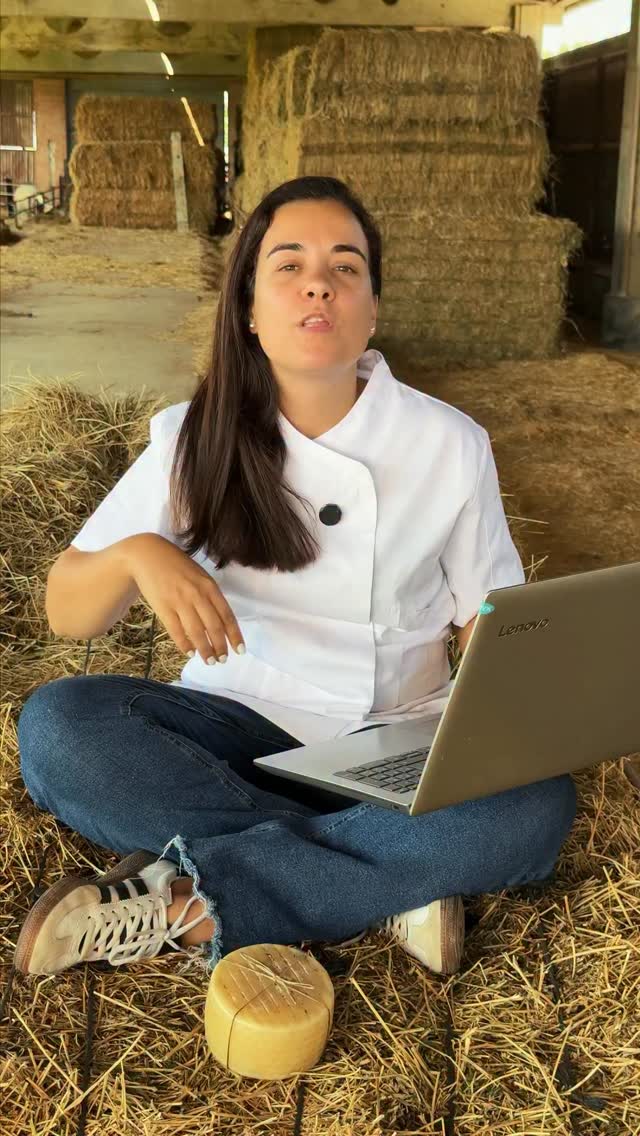 ¡Nos encanta cuando preguntáis! 🥰 Cada respuesta es una forma de acercaros a nuestro día a día en Queso de la Litera: del campo a la mesa, con tiempo y manos artesanas 🐑 🌿. ¿Qué más te gustaría saber sobre Isabel o nuestros quesos? 🐑 🧀
#QuesoArtesano #QuesoDeLaLitera #SaborConHistoria #TiempoArtesan