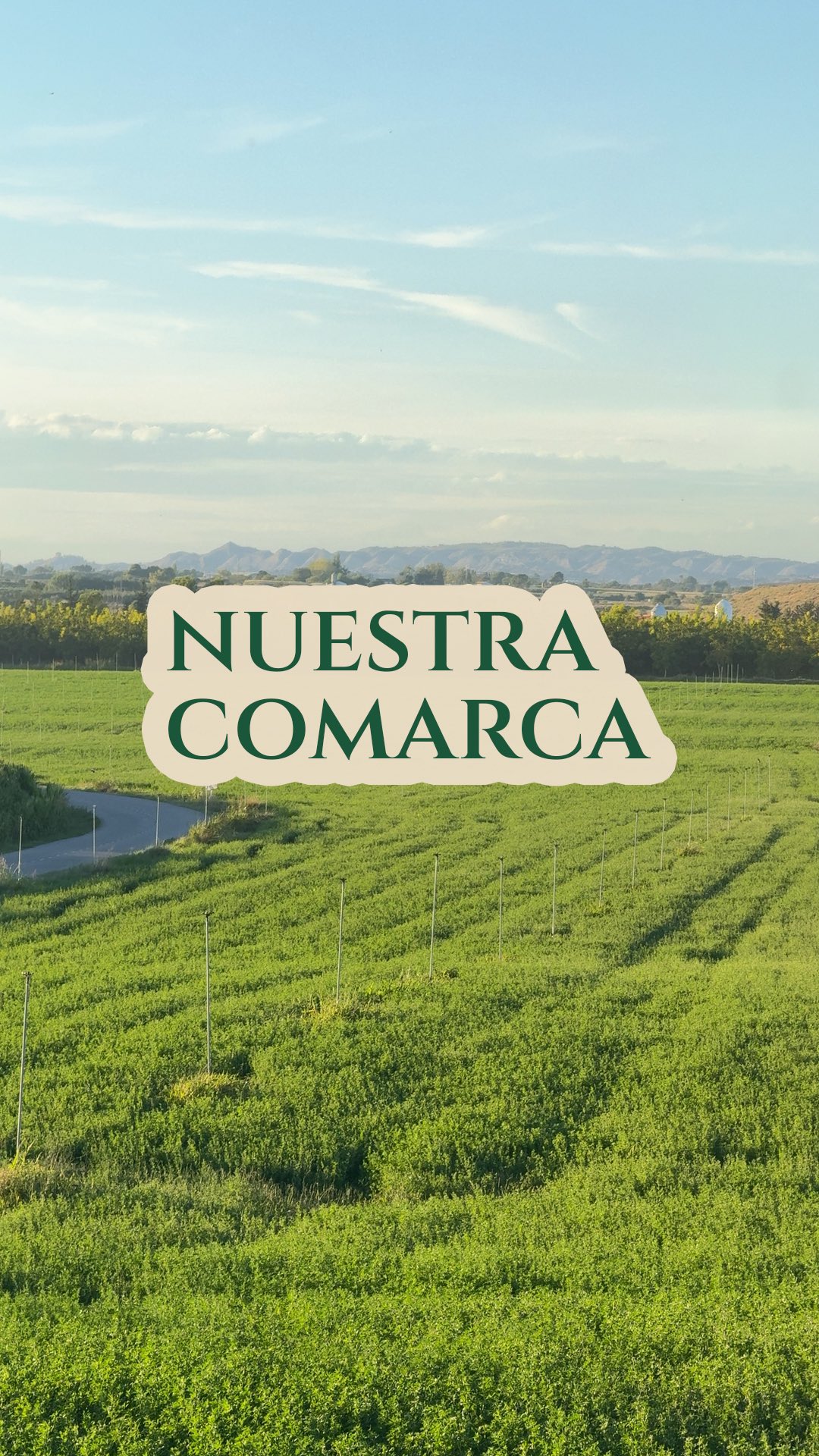 🌾 ¿Sabías que La Litera fue una de las primeras comarcas de Aragón?Su origen se remonta a 1985, cuando los pueblos de la zona crearon la Mancomunidad de la Litera, una de las pioneras en unirse para compartir servicios y trabajar juntos.
Años después, ese espíritu de cooperación dio lugar a la Comarca de La Litera / La Llitera, oficialmente constituida el 3 de enero de 2003 tras la aprobación de la Ley 25/2002.
Hoy, los 14 municipios que la integran comparten 733 km² de historia viva y más de 22.000 habitantes, manteniendo su esencia rural y su motor agroganadero.💚 Un territorio que crece, se renueva y sigue unido por sus raíces.#Litera #comarca #QuesoDeLaLitera
#LaLitera #SomosComarca #RaícesQueUnen #TerritorioVivo