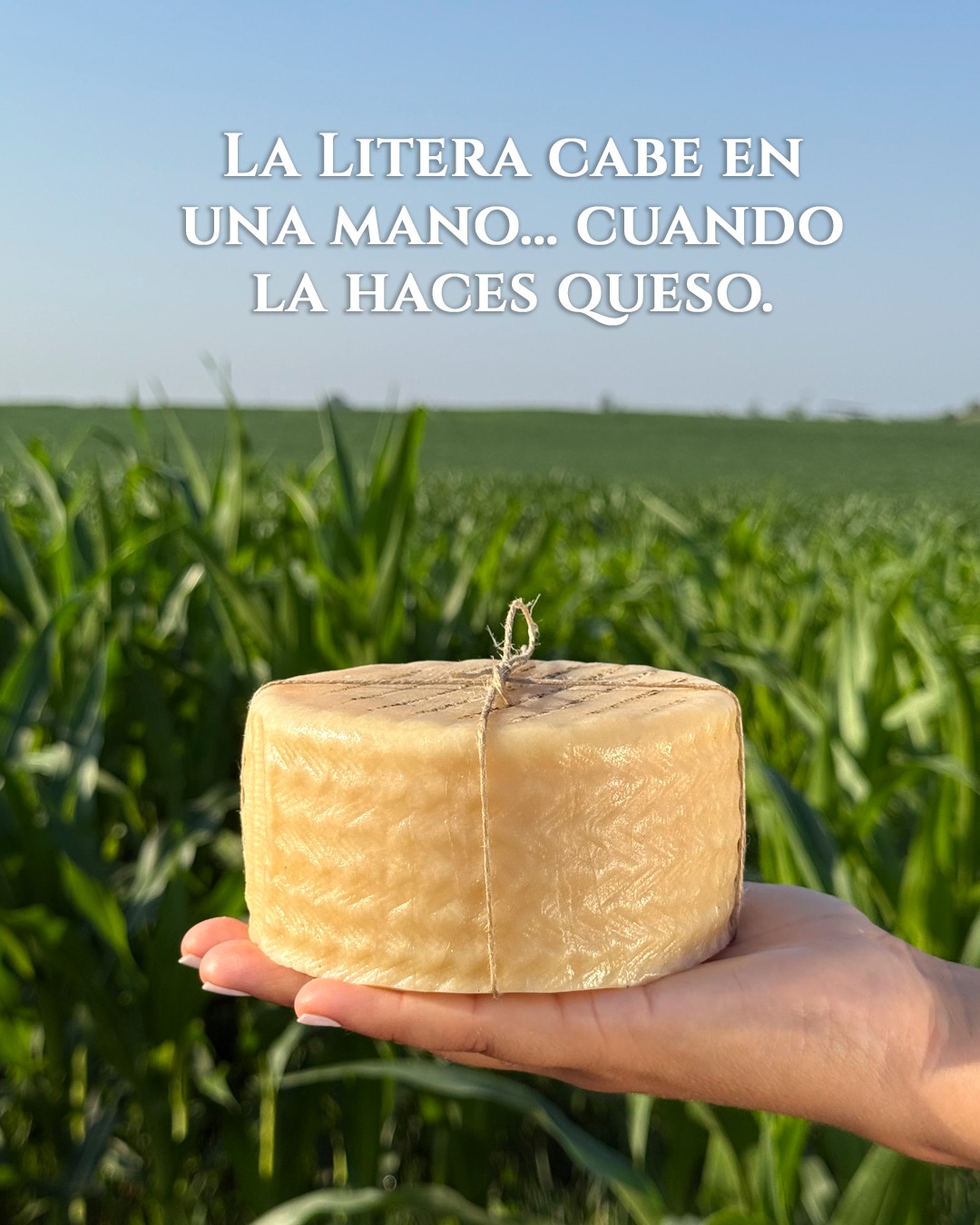 Una mano. Un gesto. Un queso. Y detrás, todo un territorio 🥰 💯.
👉 En Queso de la Litera creemos que la artesanía no es un discurso, sino una forma de sostener algo con cuidado.
🐑✨ Cada pieza nace de leche cruda de oveja de ganaderías de confianza y del trabajo paciente en nuestro obrador de #Altorricón.
Porque lo pequeño también puede ser grande: basta con hacerlo con verdad, respeto y oficio 💛🌾🧀
#QuesoDeLaLitera #SabordeLaLitera #QuesoArtesano #DisfrutaElMomento #SaborConHistoria #Altorricon #Huesca #semicurado #quesodeoveja