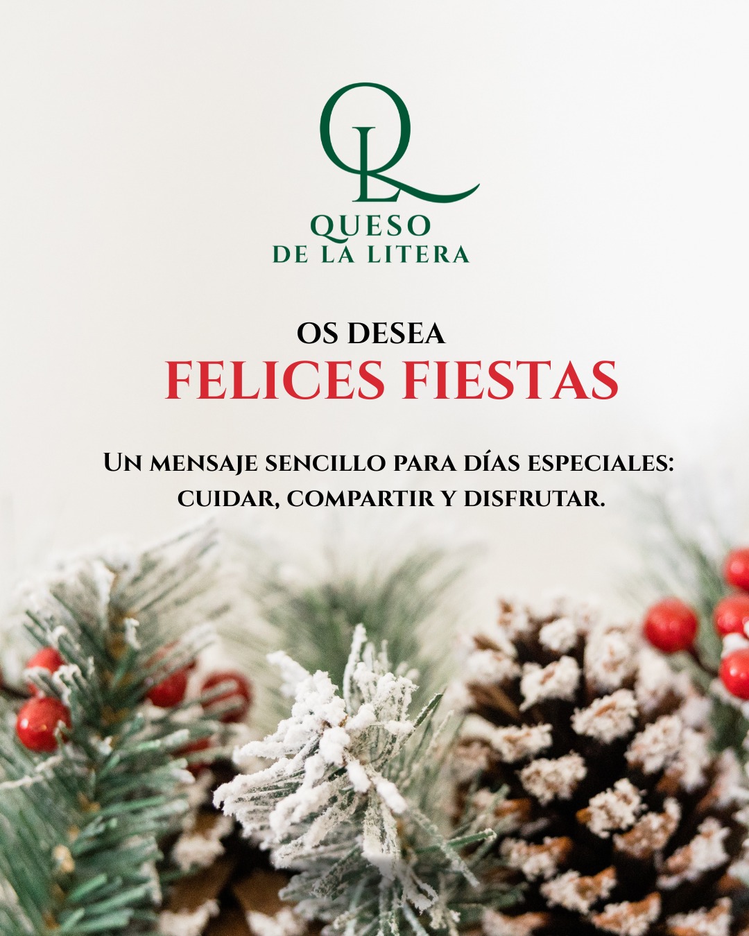 ✨ Felices Fiestas ✨🎄🎁
#QuesoDeLaLitera #CompartirEsDisfrutar