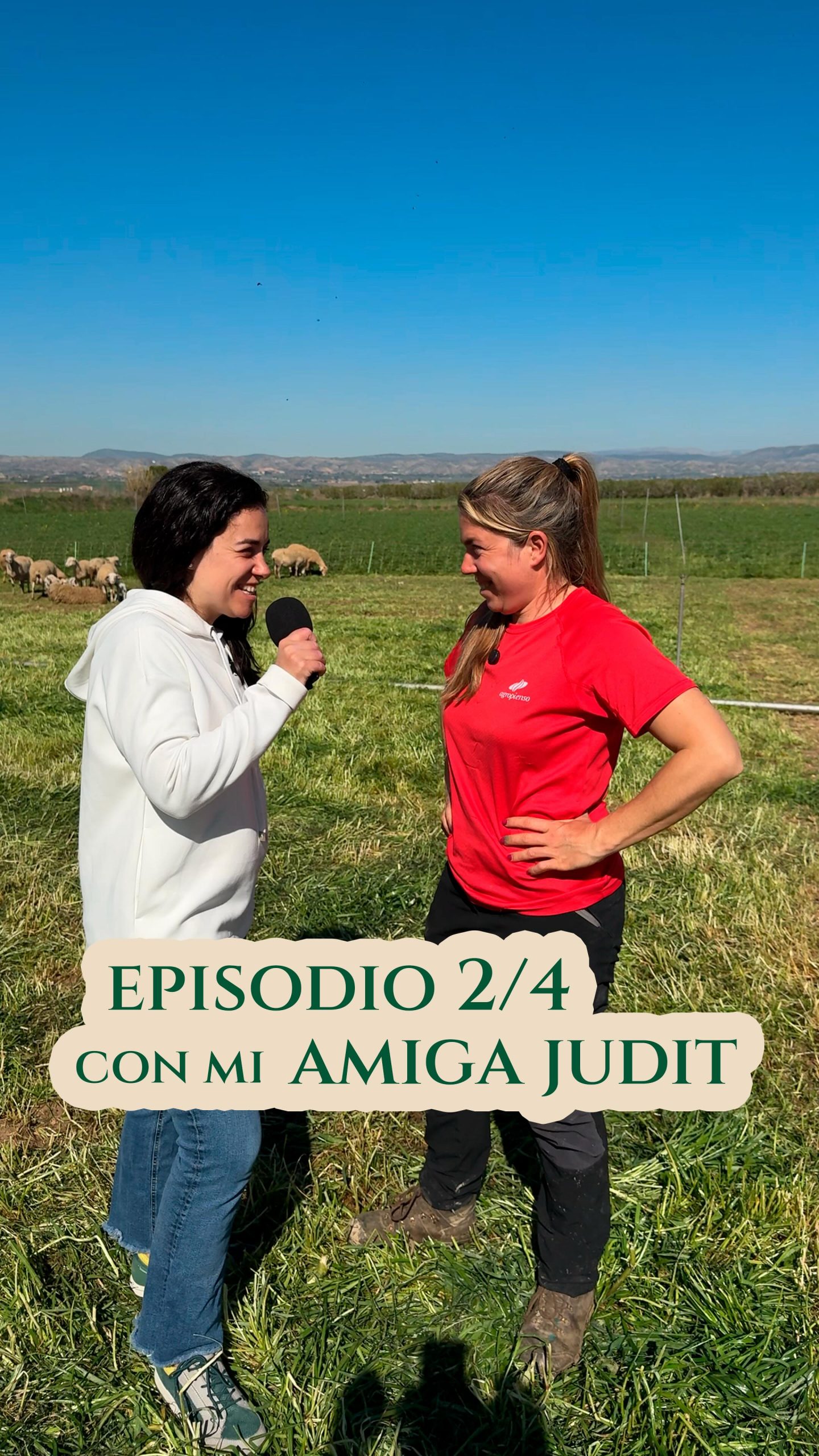 ¿Tú crees que Judit entiende a sus ovejas? 🐑
Y más importante… ¿ellas la entienden a ella?

💬 La relación va mucho más allá de cuidarlas. Es conocerlas, observarlas y saber qué necesitan en cada momento.

🌿 ¿Y de qué se alimentan?
Porque no hay buen queso sin ovejas bien cuidadas 💛

#MundoRural #Ganadería #QuesodeLaLitera #JuditBallarin