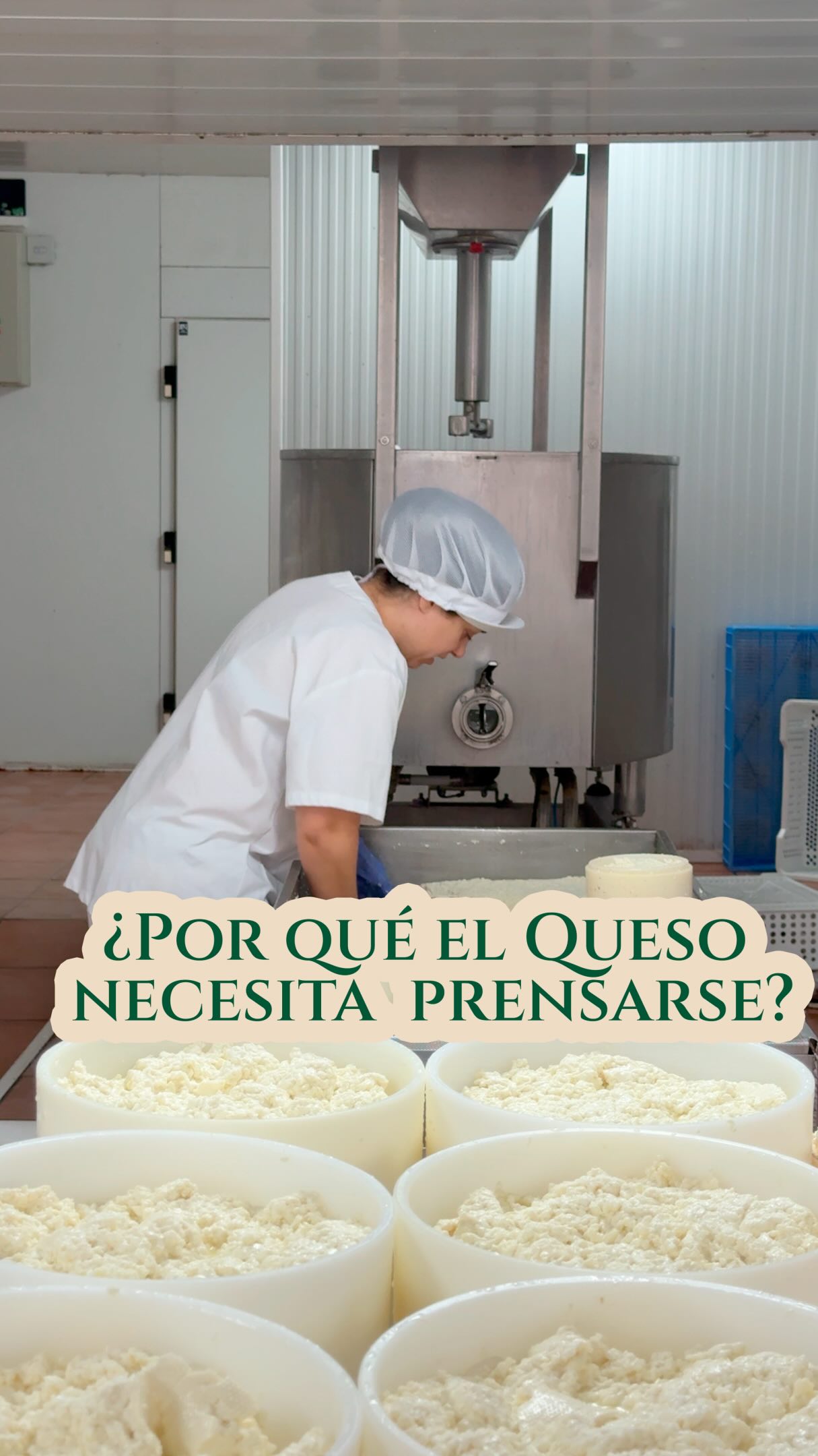 Por qué el queso necesita prensarse? 🧀 ¿Y qué papel tiene la sal en todo el proceso? 🤔

Son procesos sencillos a la vista, pero esenciales en un queso artesano: tiempo, cuidado y oficio en cada detalle.

👉 ¿Conocías esta parte del proceso?

#QuesoArtesano #QuesoDeLaLitera #Aragon #Huesca #Altorricon