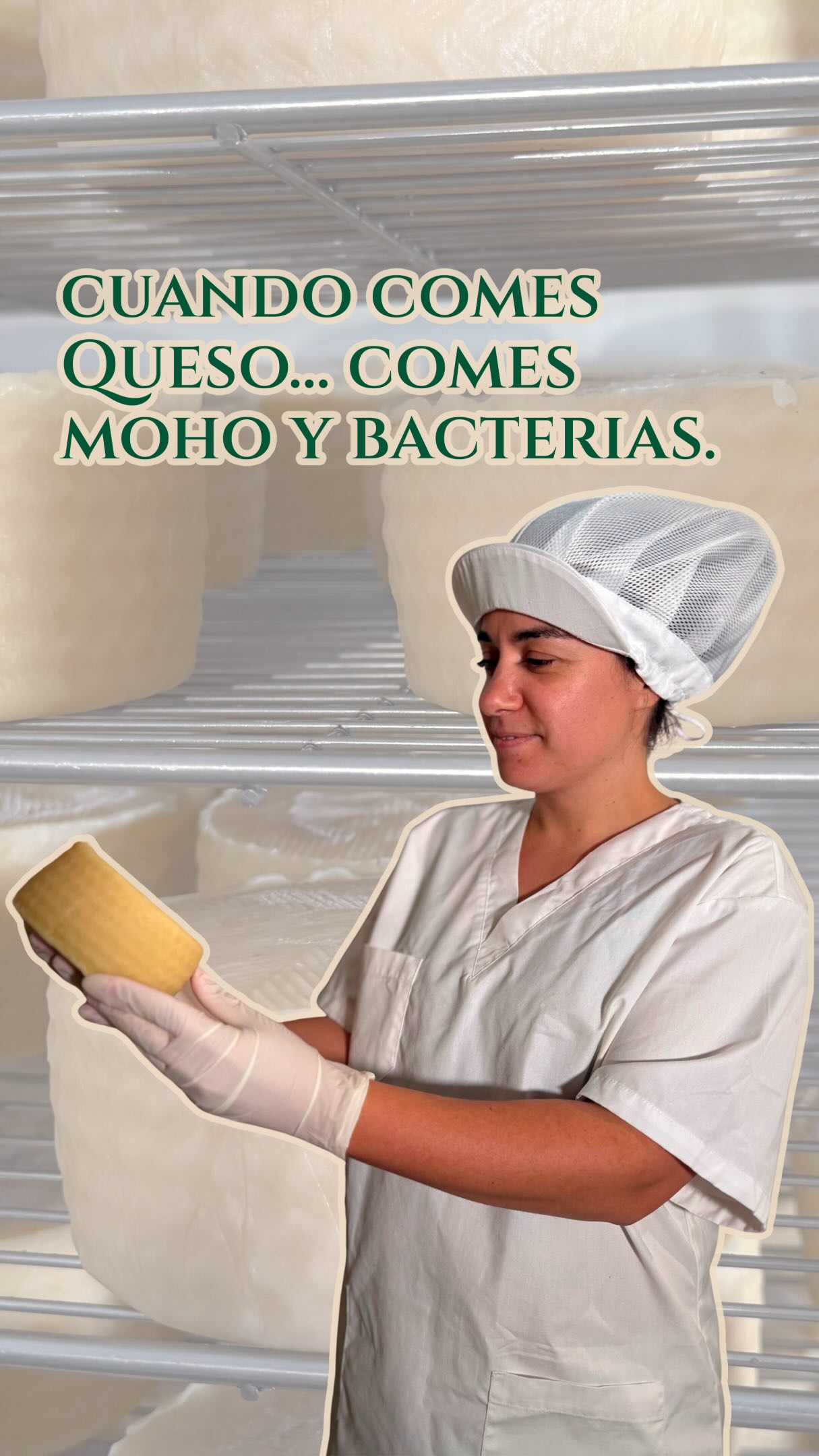 🧀 ¿Sabías que el queso sigue vivo mucho después de elaborarse? 🧂 Después del salado comienza una de las fases más importantes: la maduración.

Durante semanas, las bacterias naturales presentes en la leche y en la corteza trabajan lentamente transformando el queso. Son las responsables de muchos de los aromas, matices y características que hacen único a un semicurado.

🌡️ En nuestra cámara de maduración controlamos cada detalle: temperatura, humedad y tiempo. Además, observamos y volteamos cada pieza para que evolucione de forma uniforme y desarrolle su carácter sin prisas.

⏳ Entre 60 y 90 días de paciencia, cuidado y trabajo diario para conseguir un queso semicurado de verdad.

✨ Cada vuelta, cada día y cada semana forman parte de su historia.

🧀 ¿Conocías todo lo que ocurre dentro de un queso durante su maduración?

#QuesodeLaLitera #QuesoArtesano #Semicurado #Altorricon #LaLitera